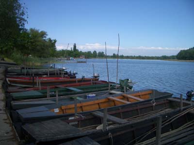 Řeka Tisza